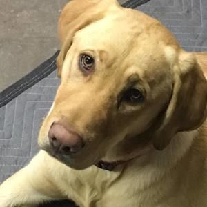 Meet your Posher, Jon